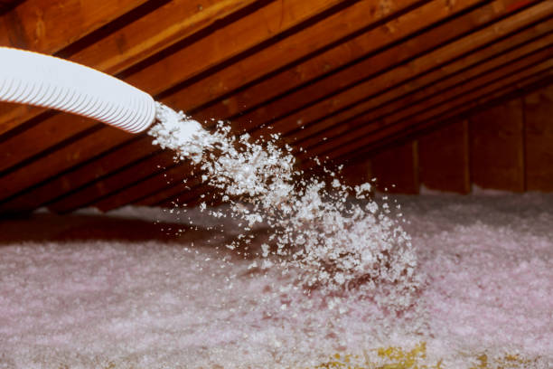 Best Insulation Installation Services in Murrysville, PA